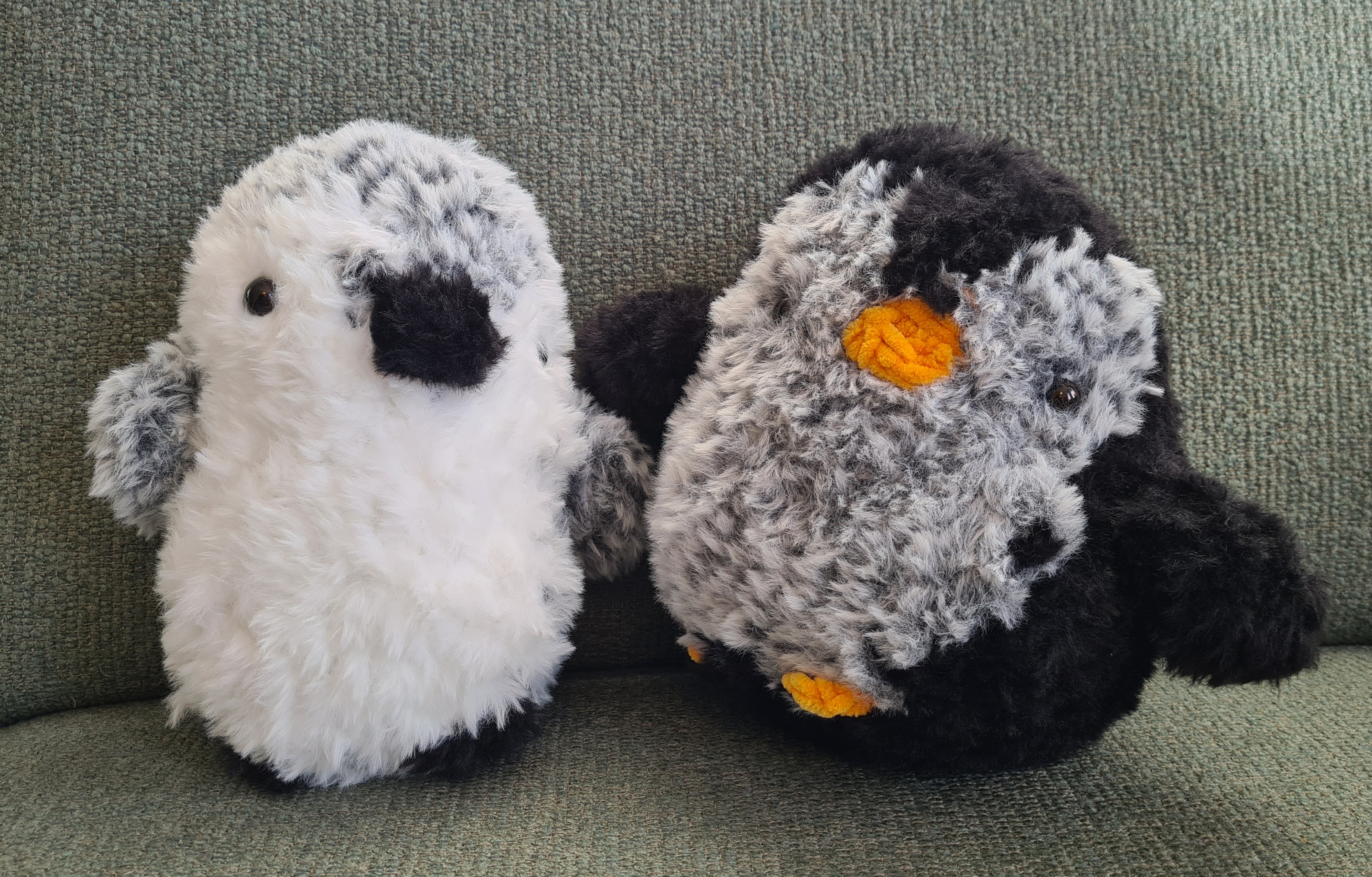 Baby penguins 🐧 🐧